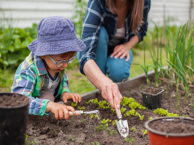 Categoria "Articoli baby garden"