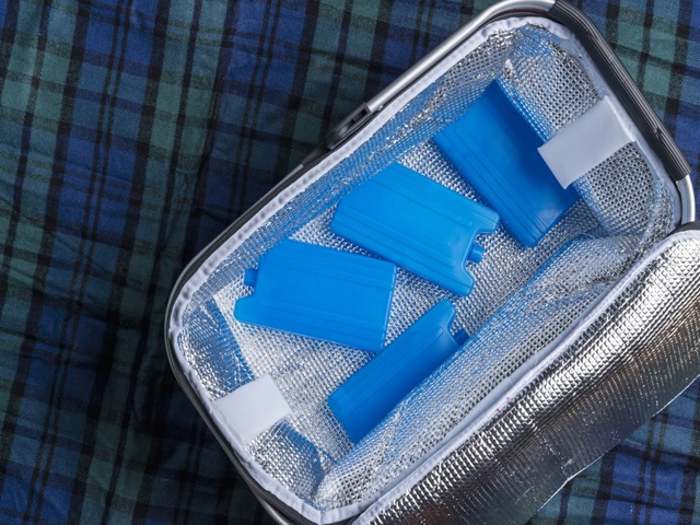 Categoria "Frigo portatili"