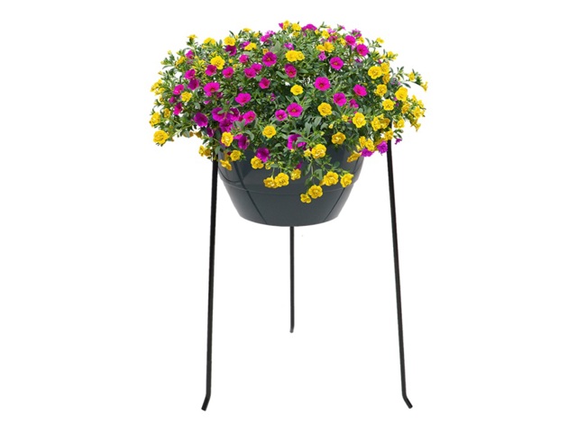 Vaso Interno Decorativi Fiori Vetro: oderni Vasi Provetta Porta Con