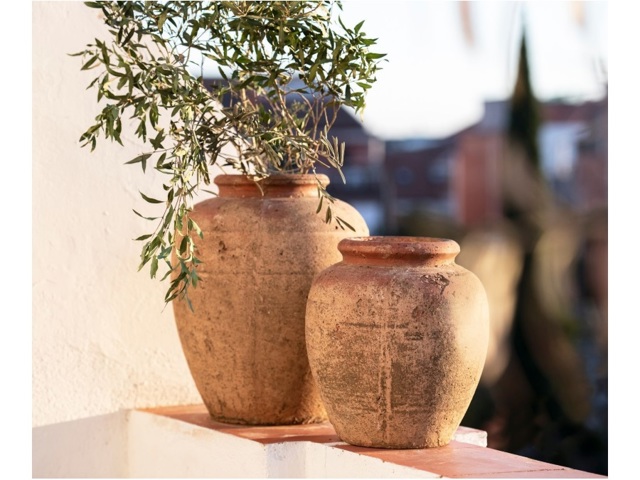 vaso vaso