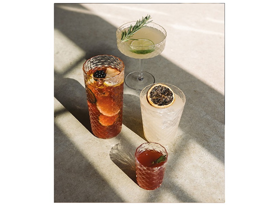 veneziano mixology shot 2