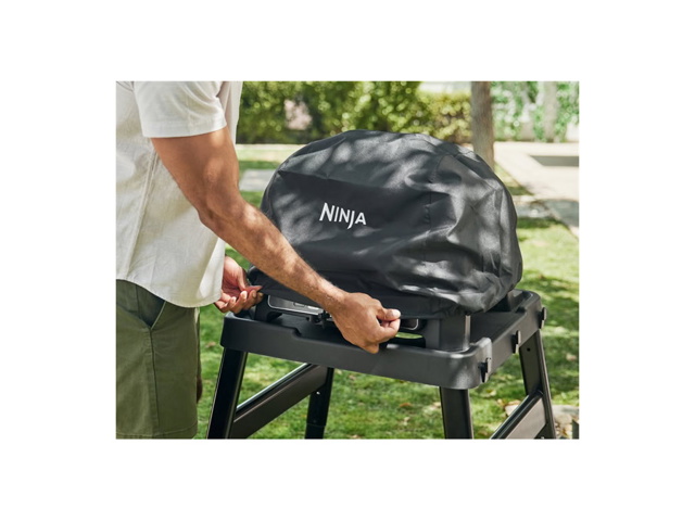 n1
